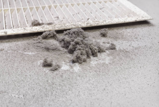 Best Affordable Duct Cleaning Services  in Gulfport, FL