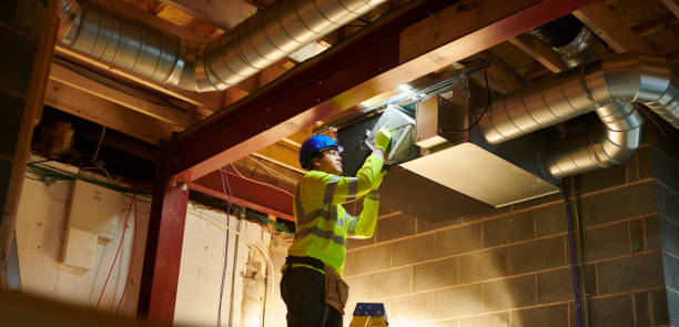Best Air Duct Mold Removal  in Gulfport, FL
